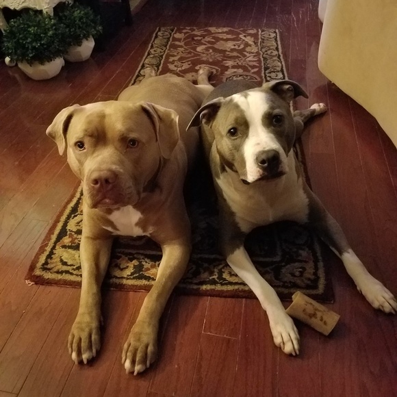 Authentic Designer Items @ Great Prices - Picture 6 of 9